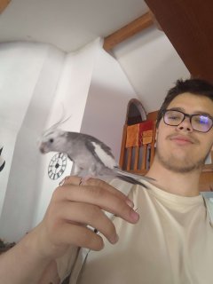 Service garde animaux
