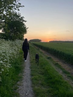 Service promeneur chien