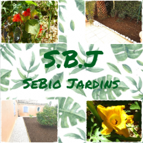 Service amenagement jardin