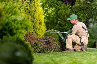 Service entretien jardin