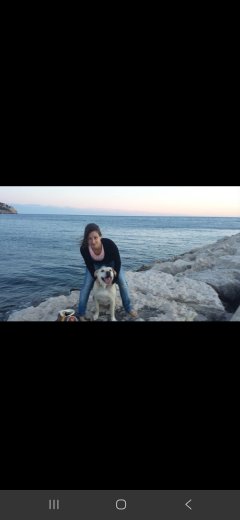 Service garde animaux