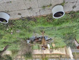 Service entretien jardin