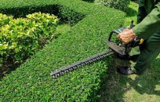 Service entretien jardin