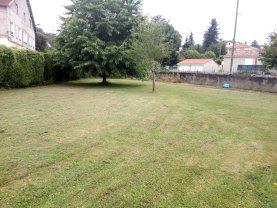 Service tonte de pelouse