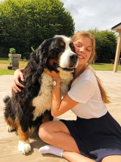 Service garde animaux