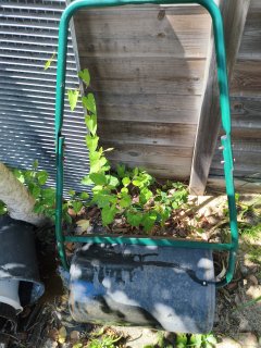 Location rouleau a gazon