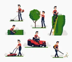 Service entretien jardin