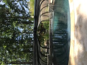 Location piscine