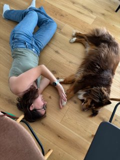 Service garde animaux
