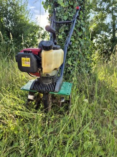 Location jardin potager