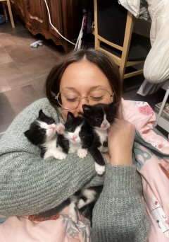 Service garde animaux