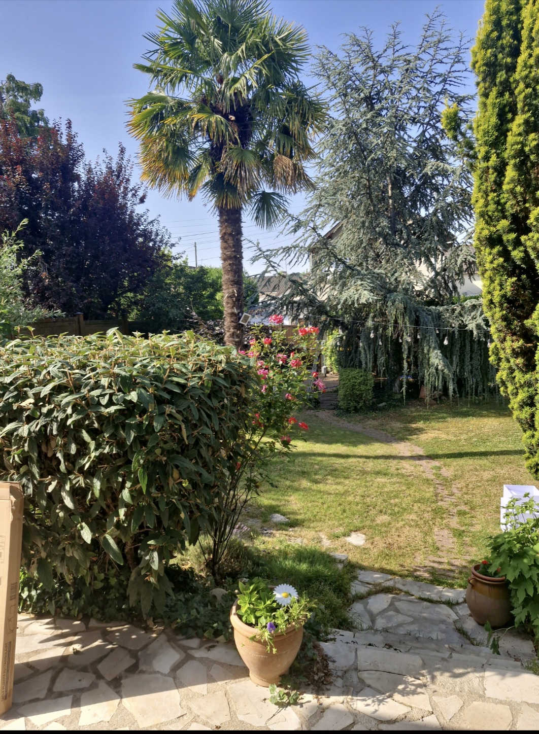 Location piscine entre particuliers (94)