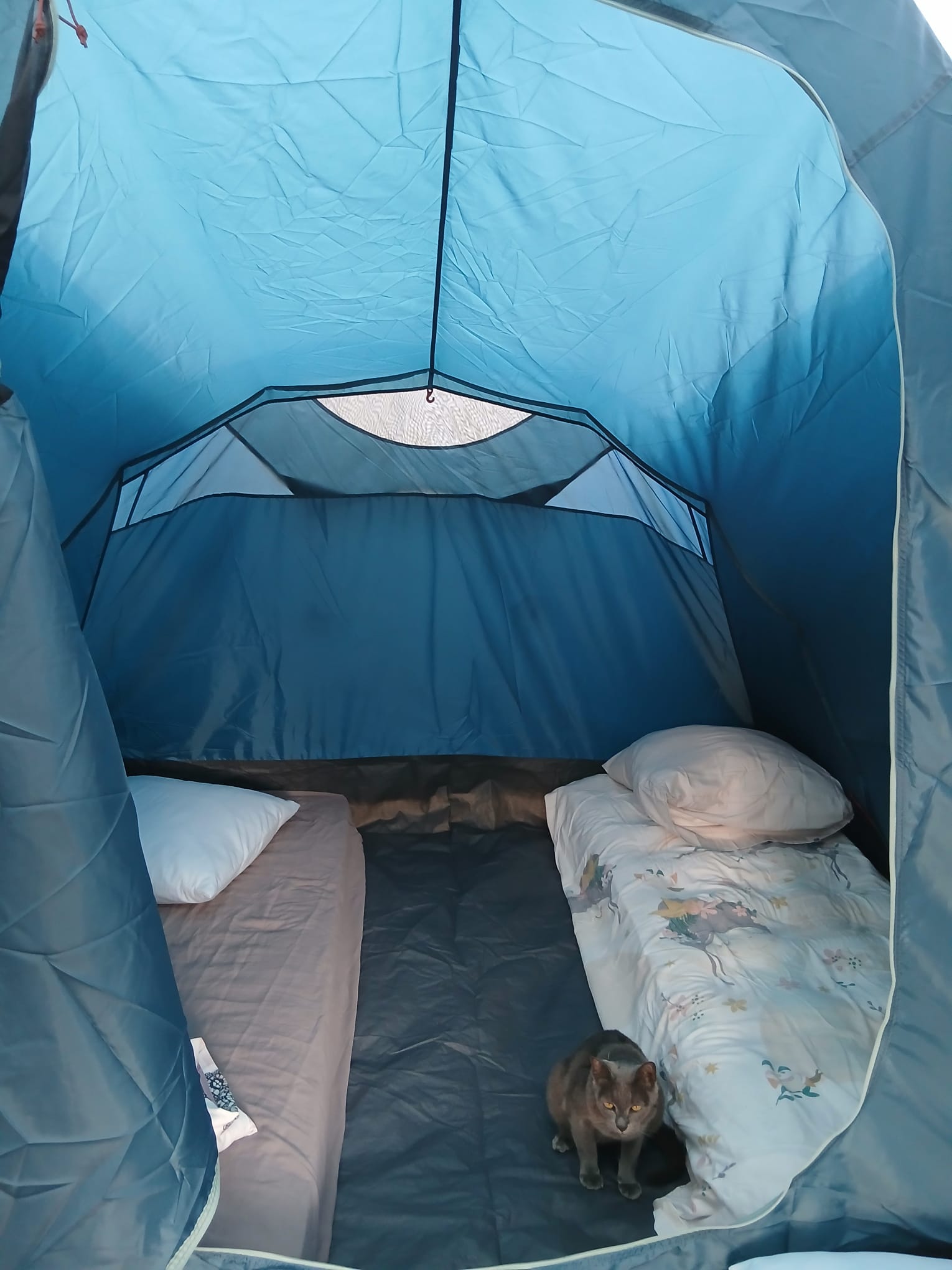 Location tente entre particuliers (43)