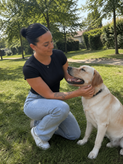 Service garde animaux