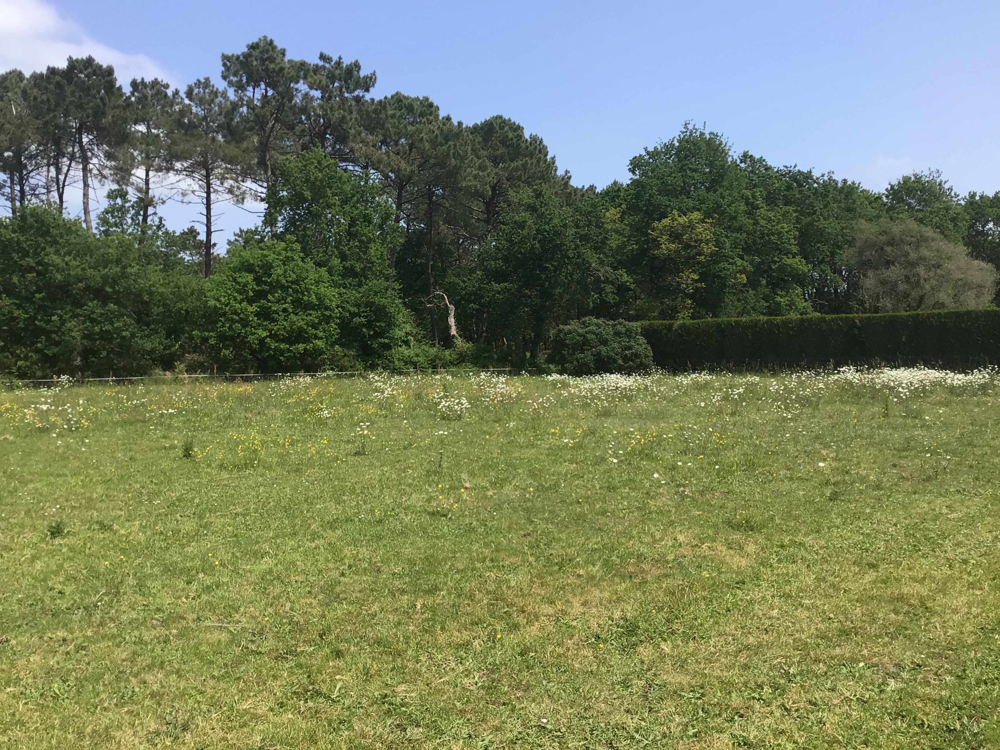 Location autre entre particuliers (56)