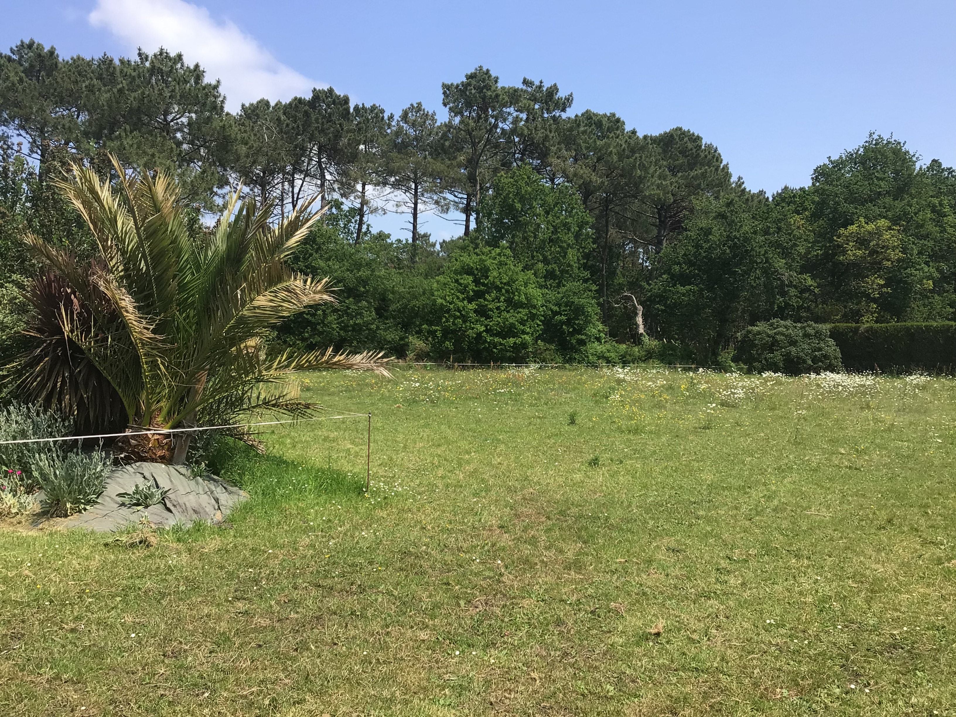 Location autre entre particuliers (56)