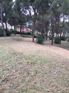 Service jardinage