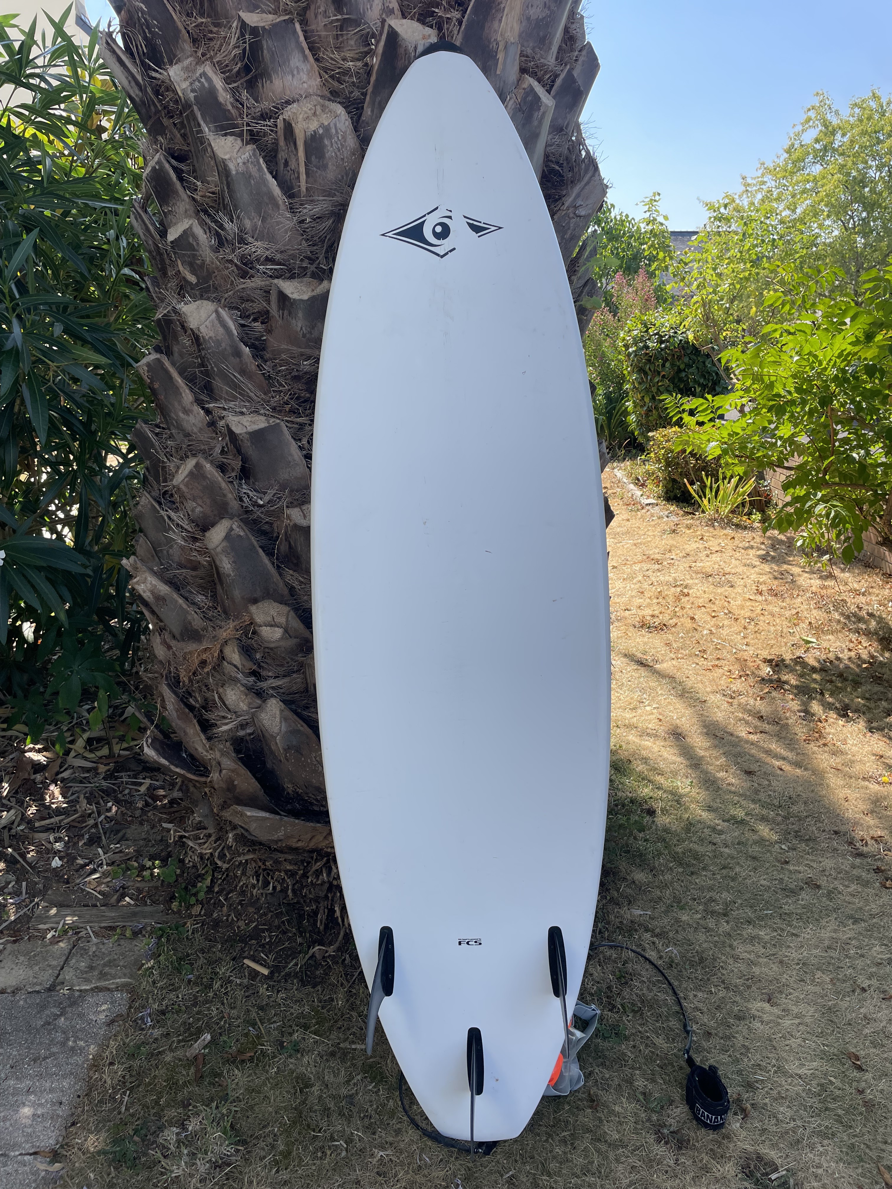 Location planche de surf entre particuliers (29)