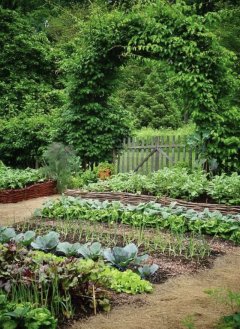 Location jardin potager