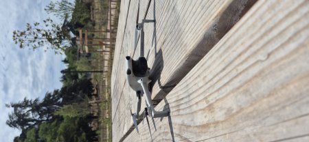 Location drone