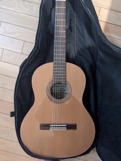 Location guitare