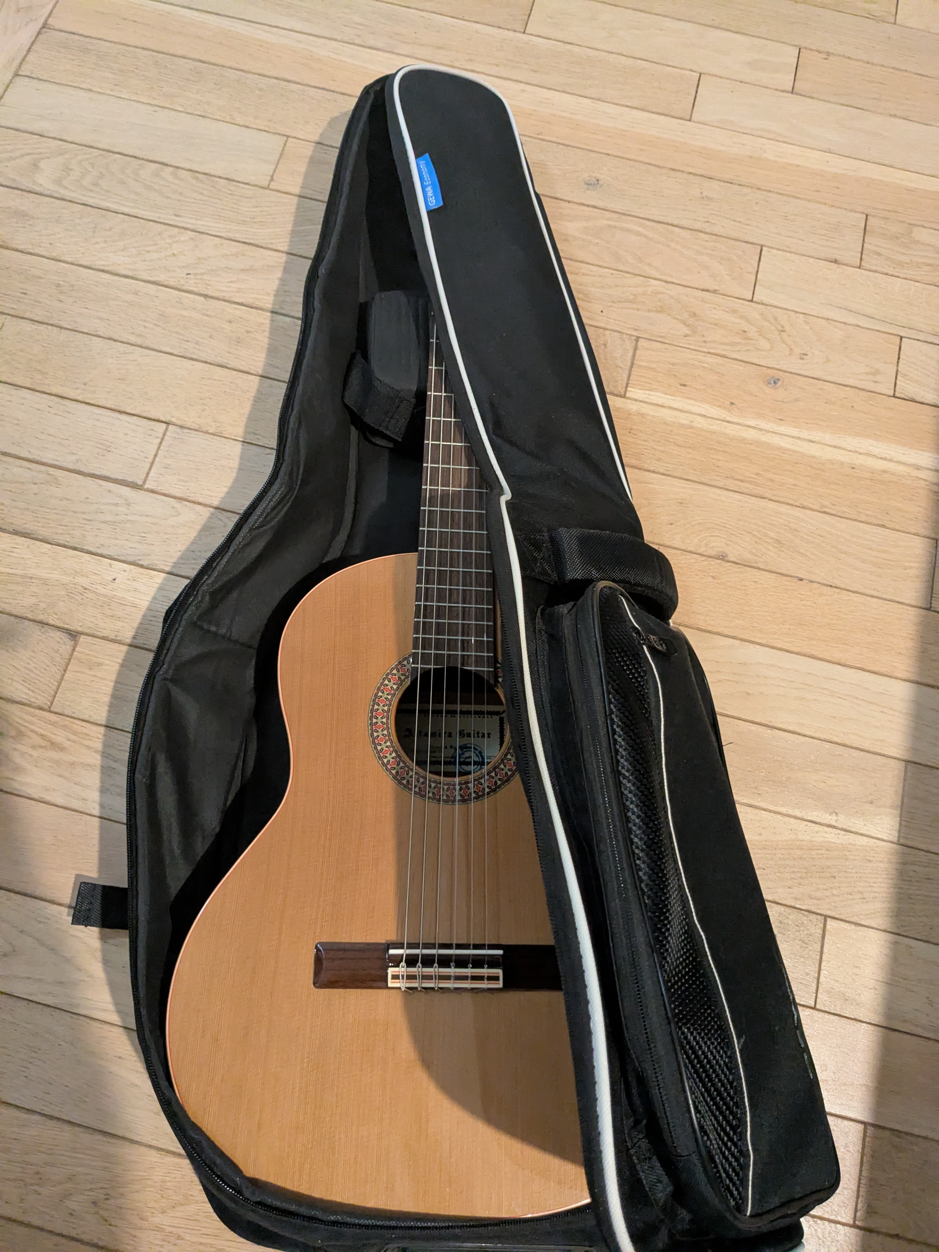 Location guitare entre particuliers (91)