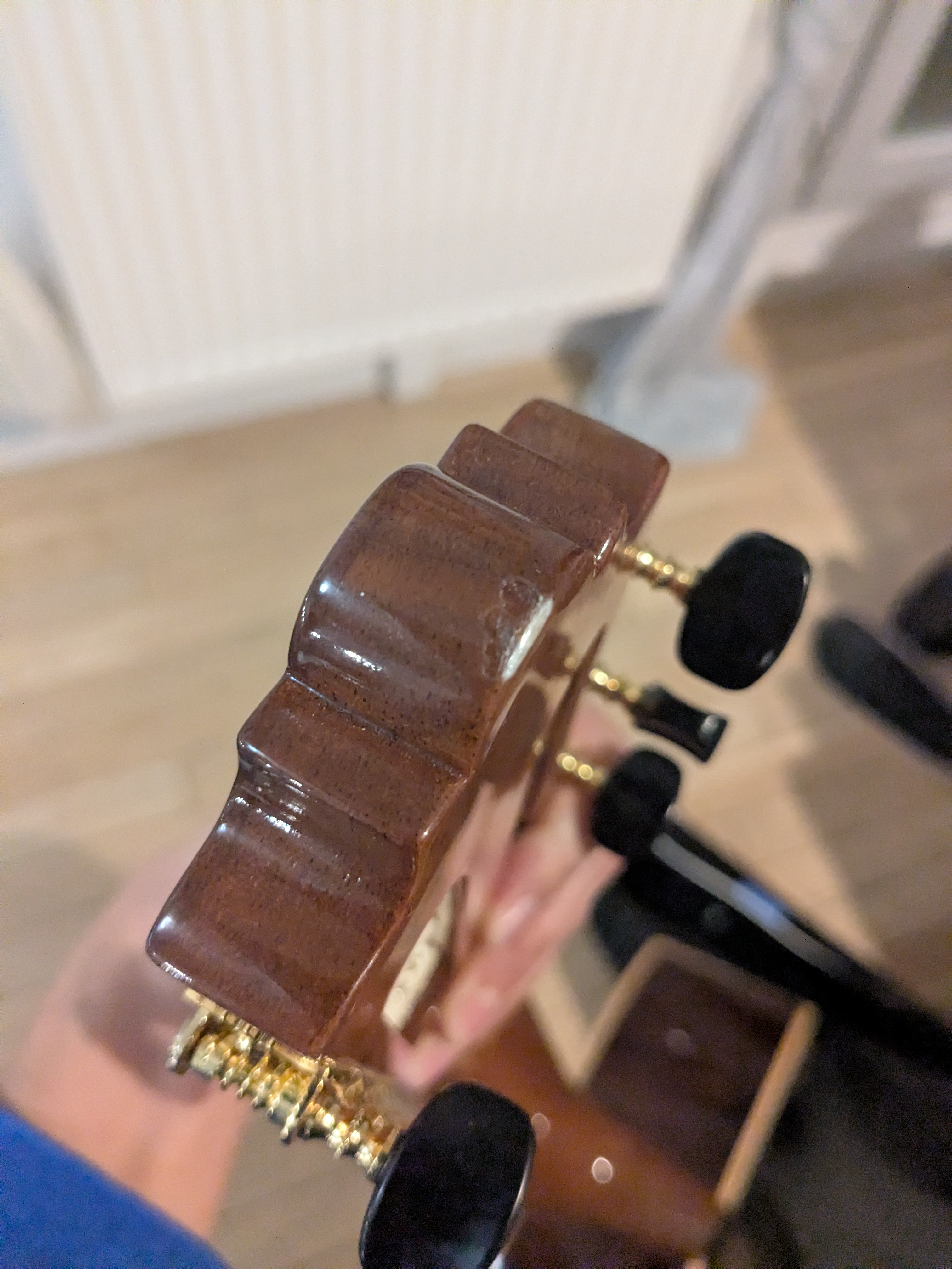 Location guitare entre particuliers (91)