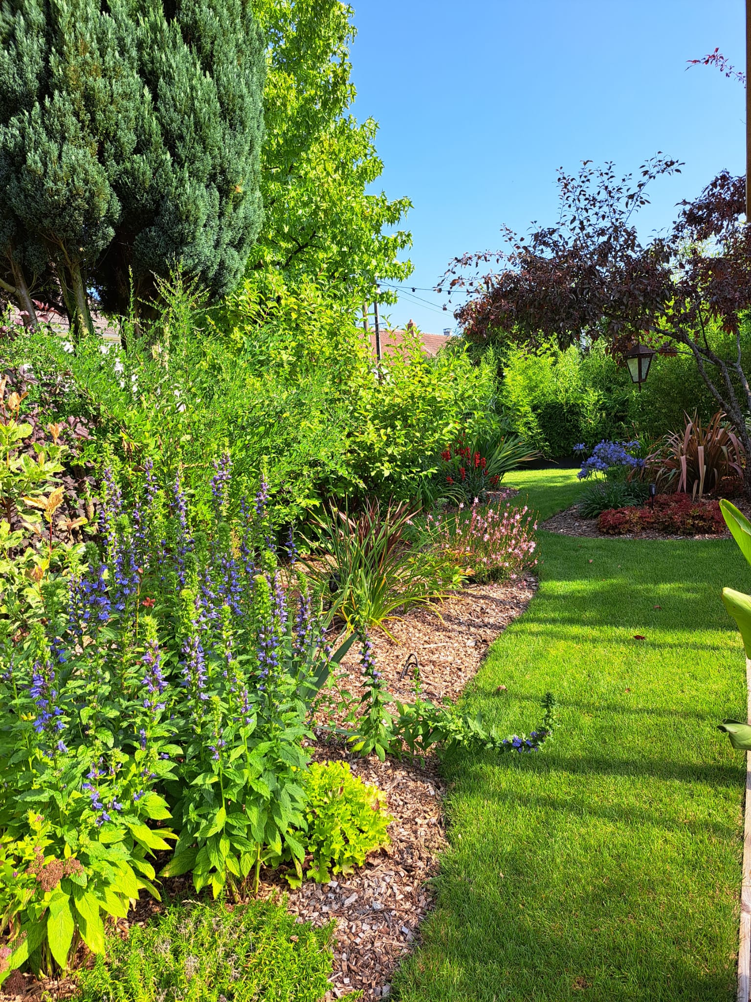 Location jardin entre particuliers (77)