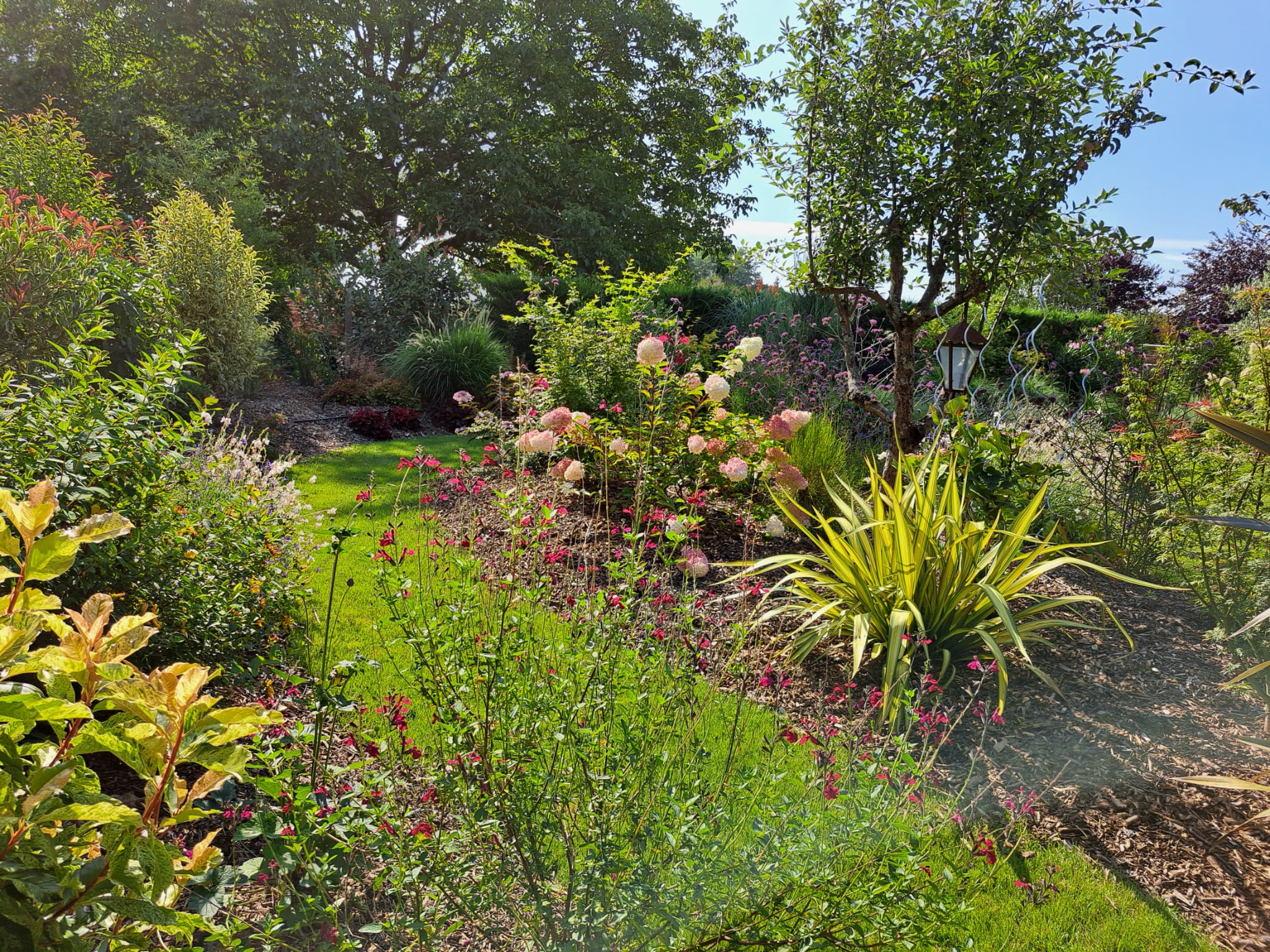 Location jardin entre particuliers (77)