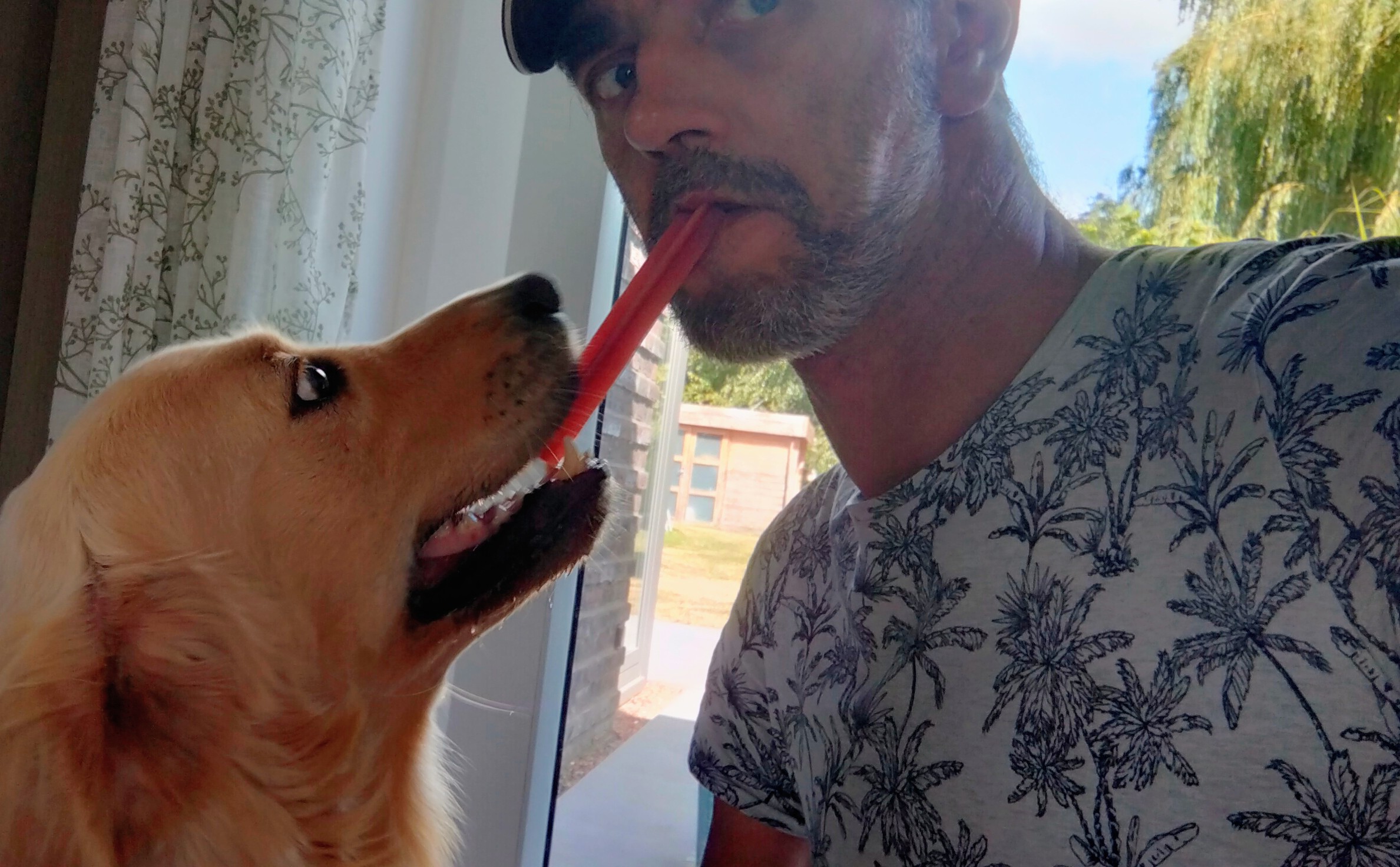 Service garde animaux entre particuliers (59)