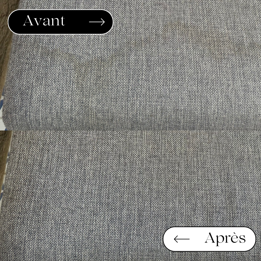 Location shampouineuse entre particuliers (44)