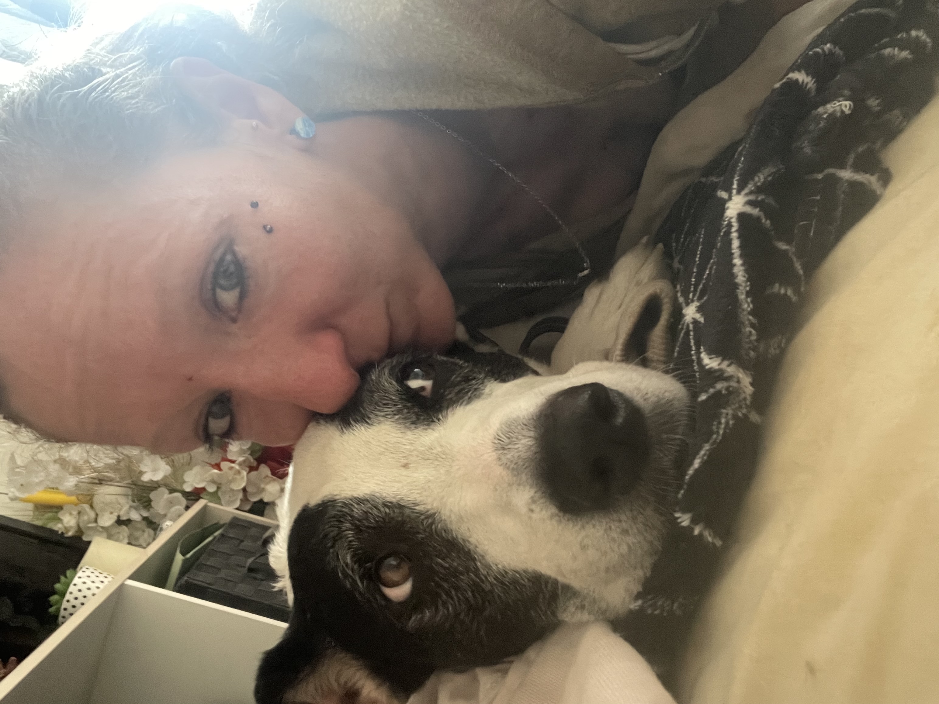 Service garde animaux entre particuliers (83)