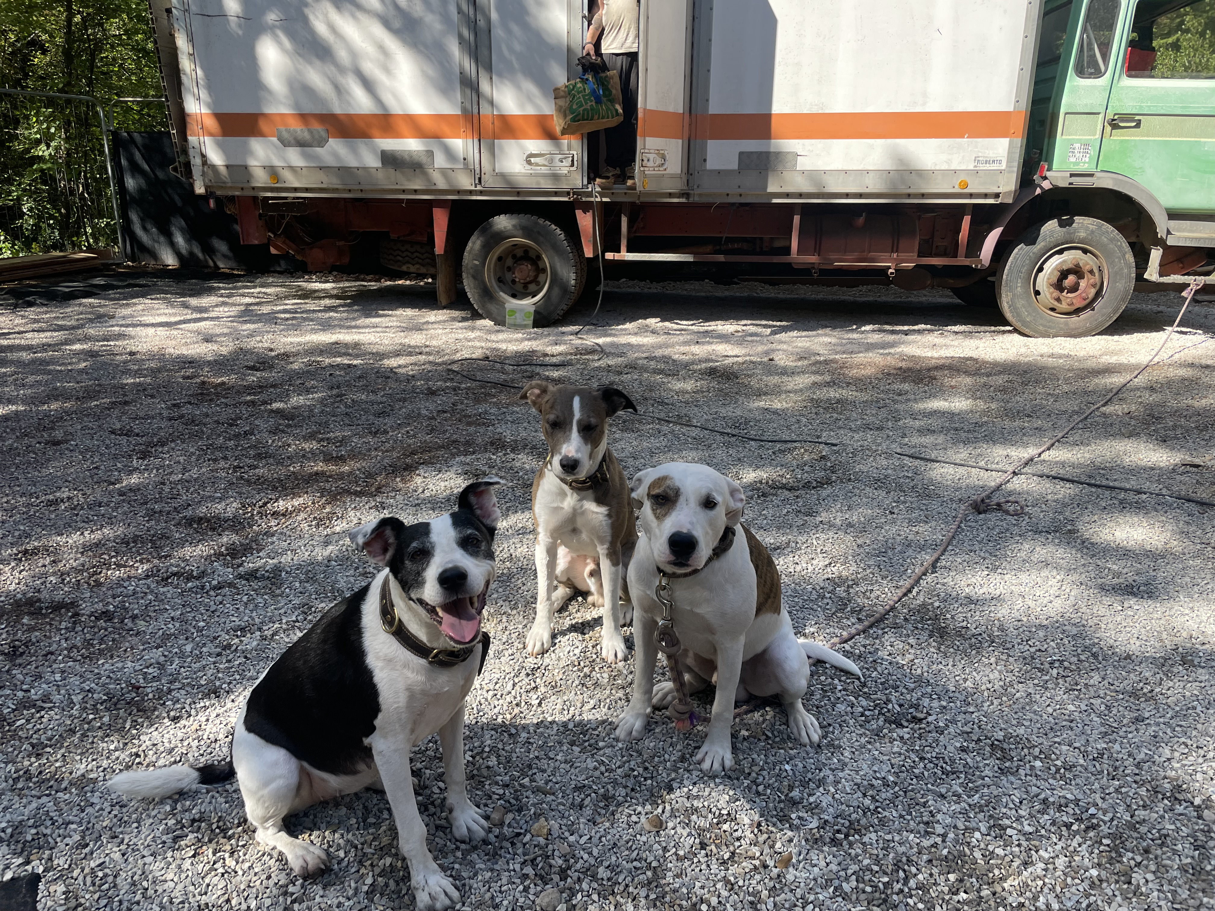 Service garde animaux entre particuliers (83)