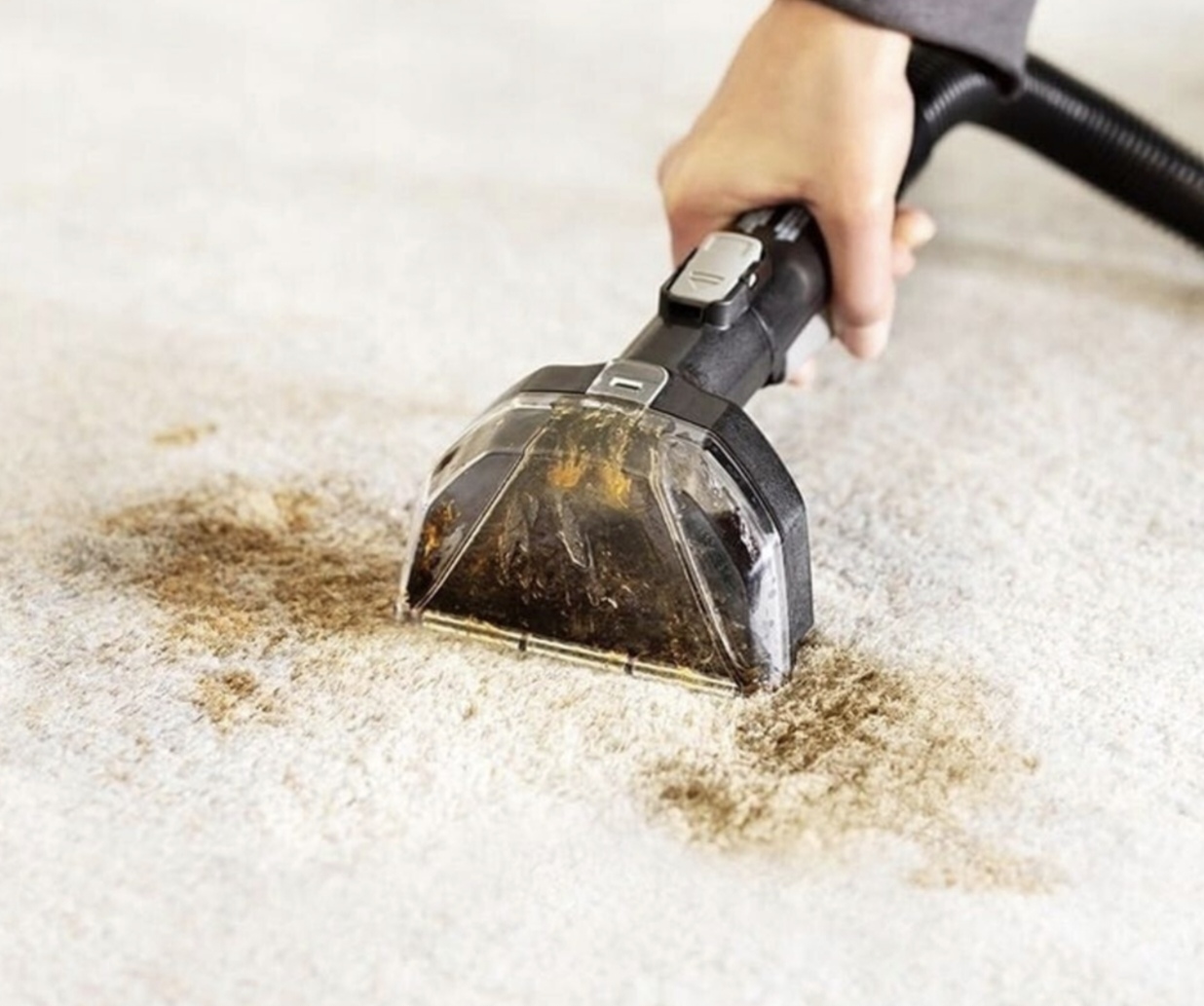 Location shampouineuse entre particuliers (62)