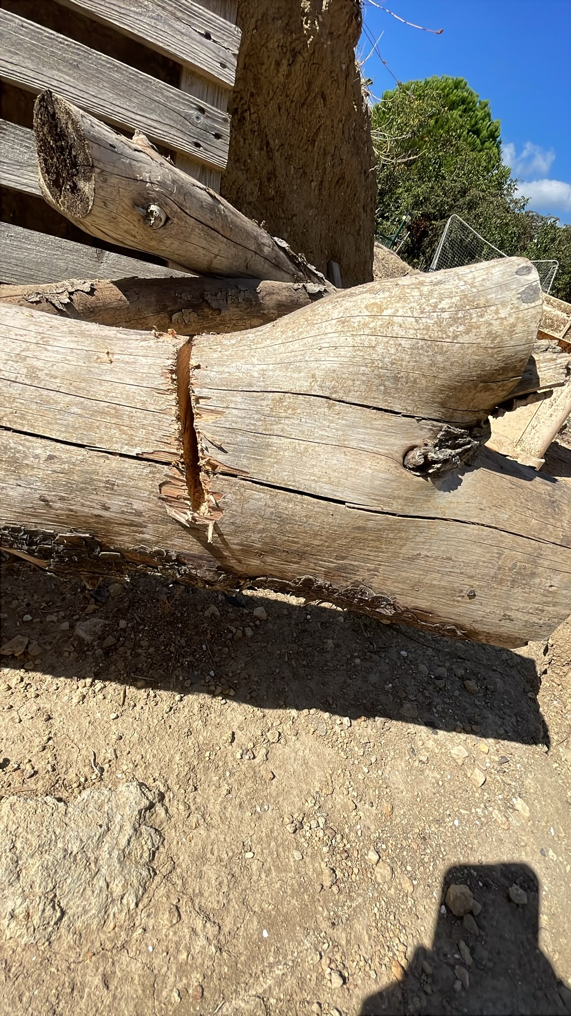 Location tronconneuse entre particuliers (06)