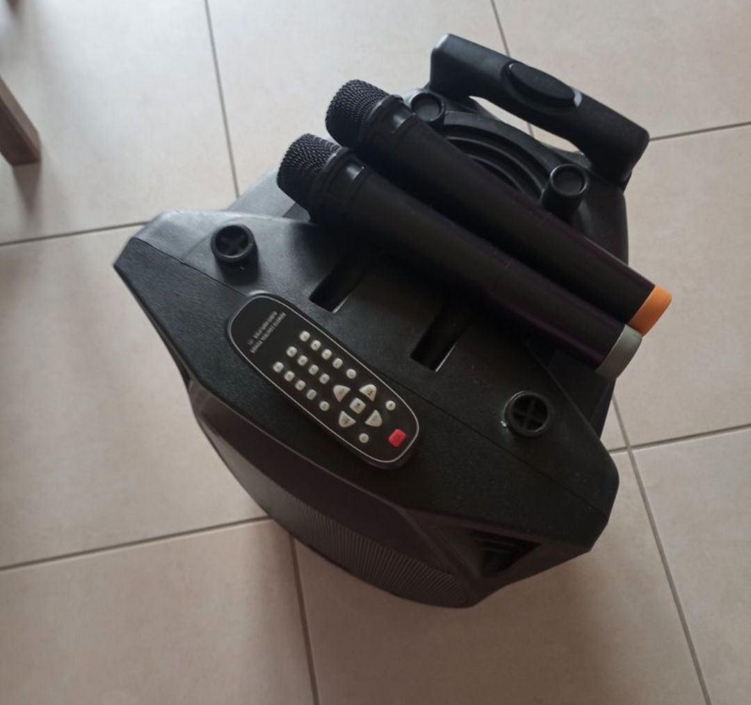 Location karaoke entre particuliers (26)