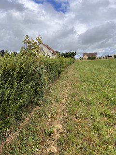 Service jardinage