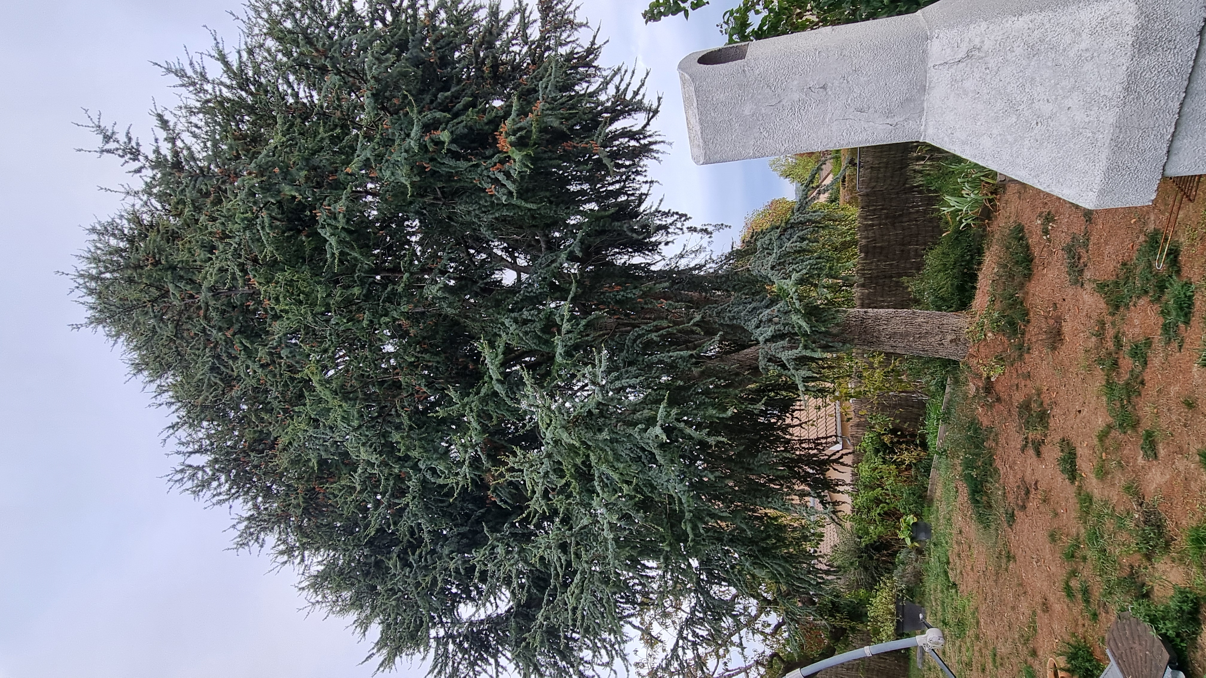 Service coupe de bois entre particuliers (78)
