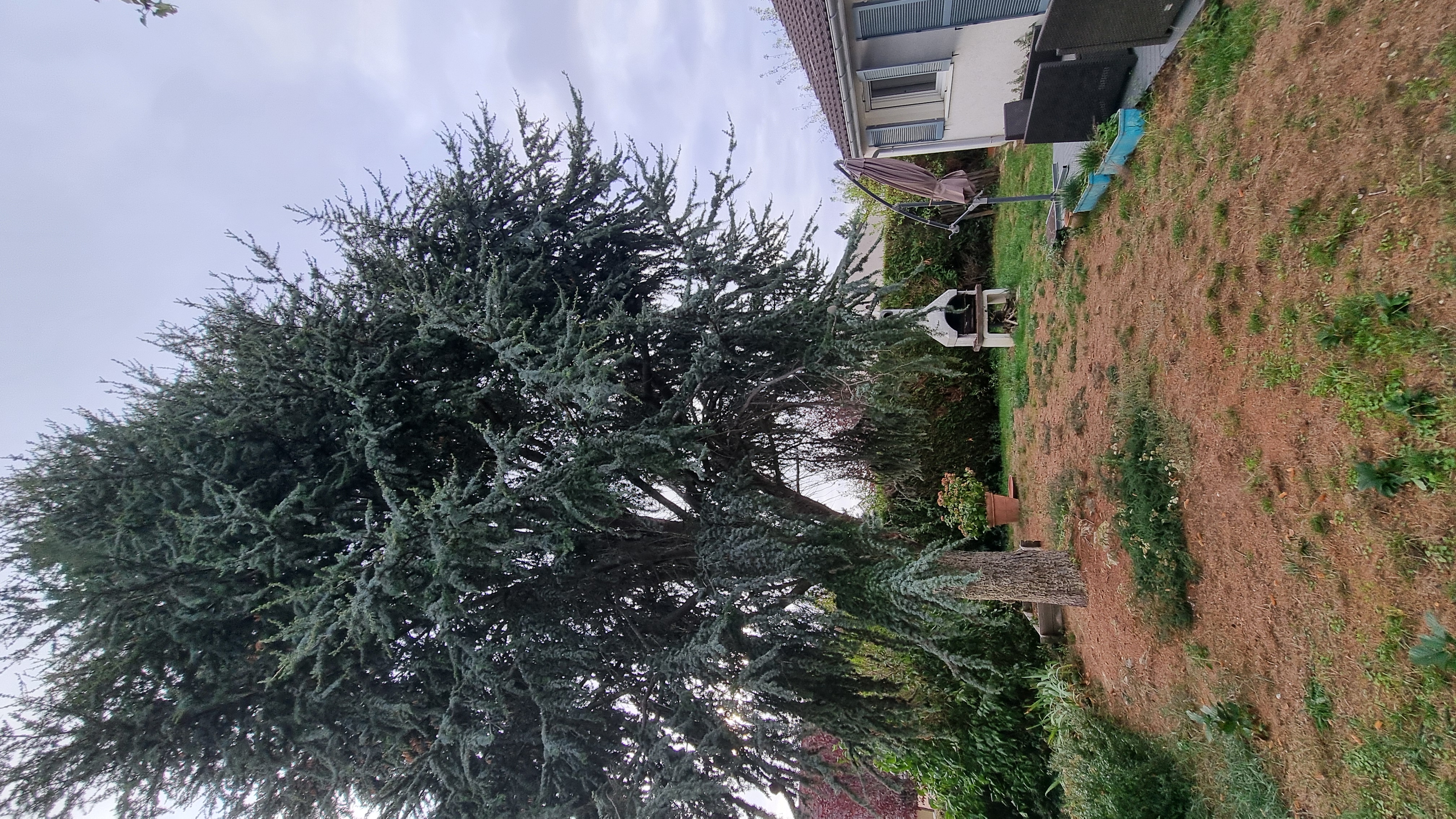 Service coupe de bois entre particuliers (78)