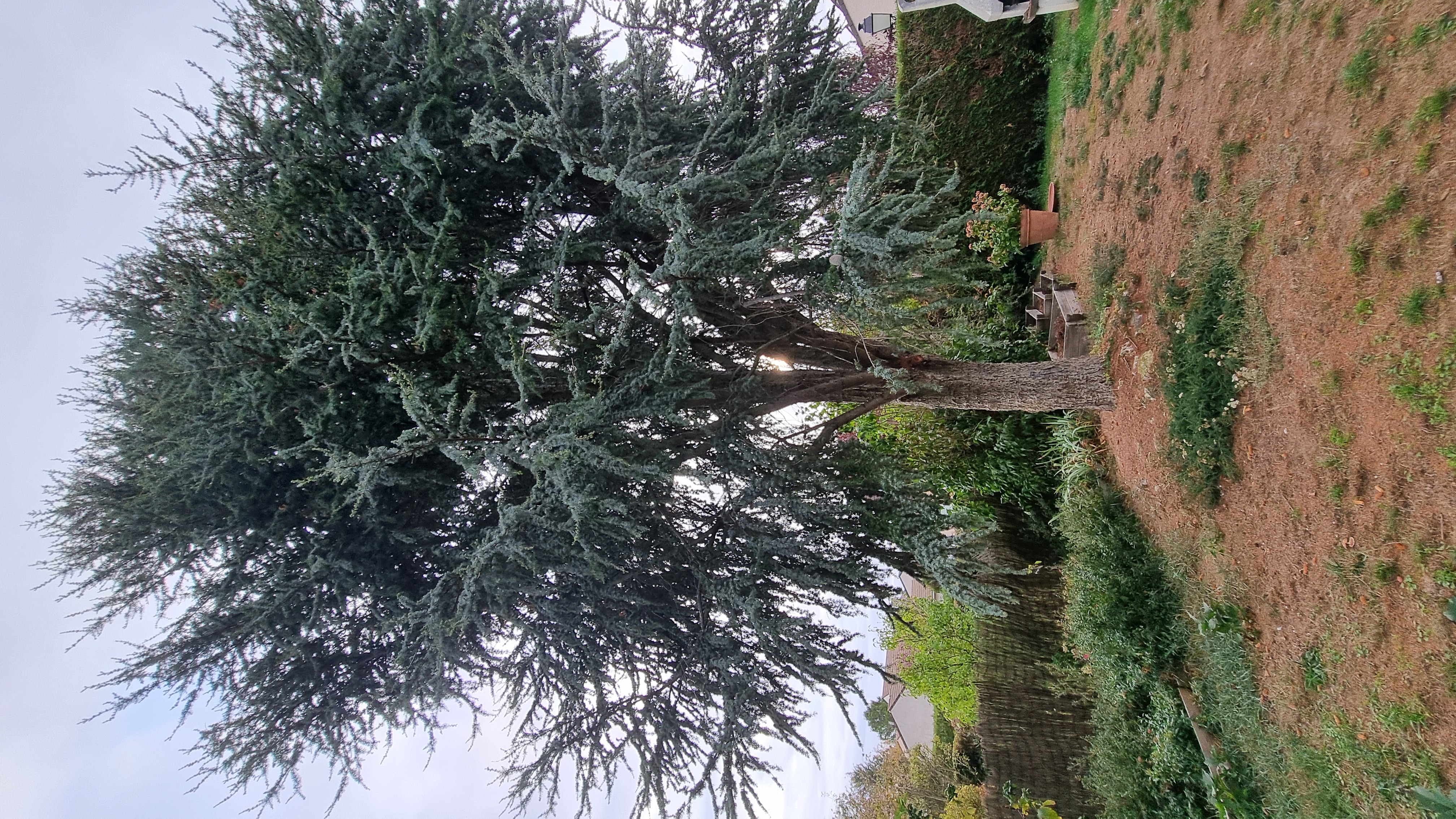 Service coupe de bois entre particuliers (78)