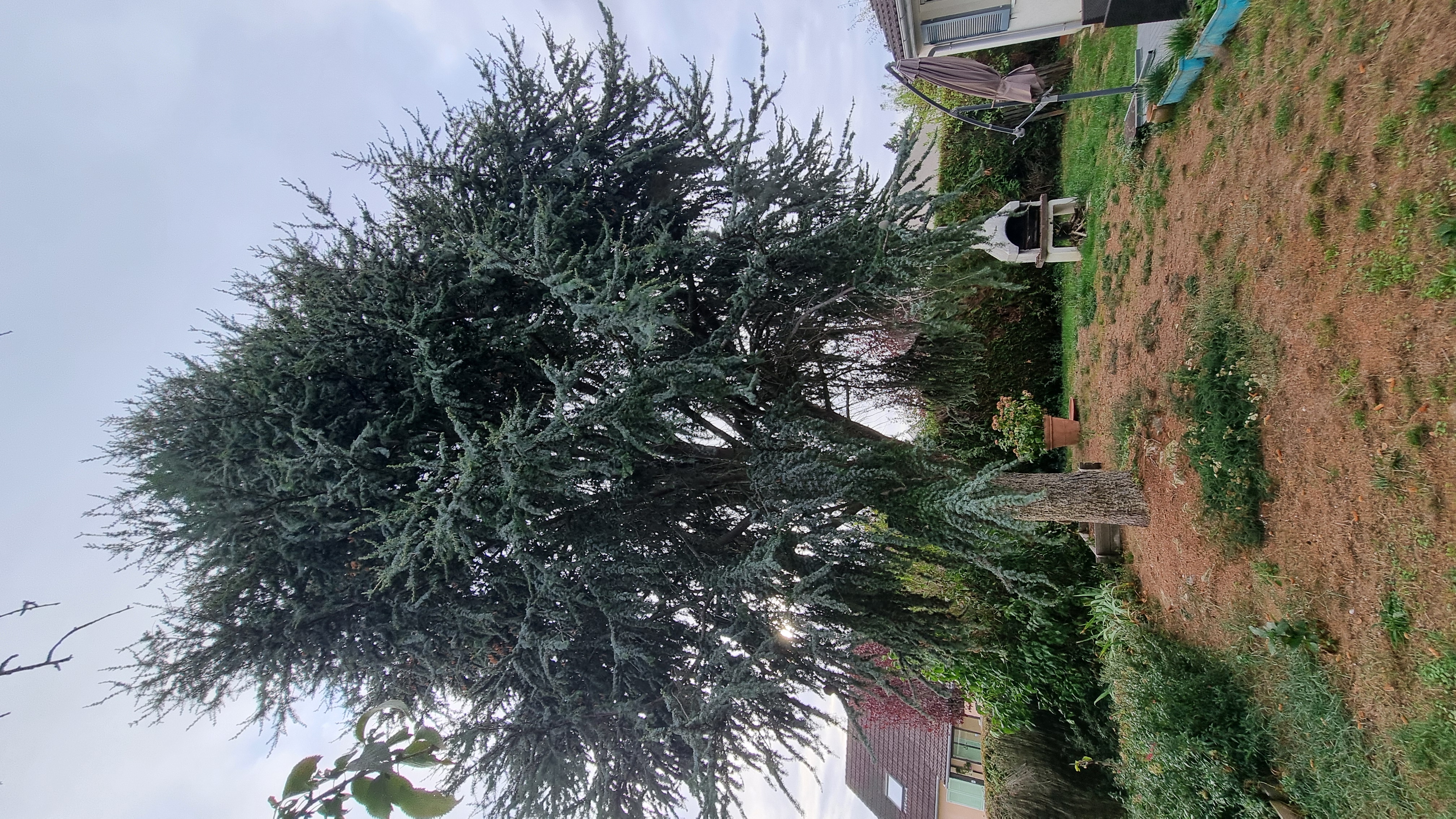 Service coupe de bois entre particuliers (78)