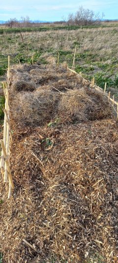Location jardin potager