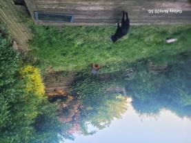 Service entretien jardin
