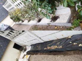 Service entretien jardin