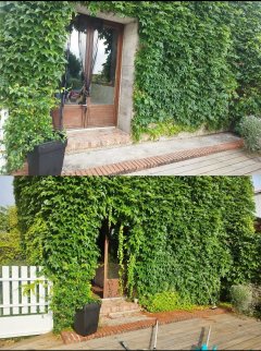 Service entretien jardin