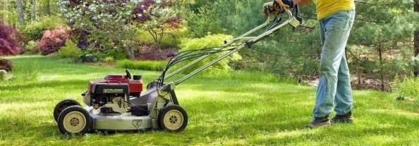 Service tonte de pelouse