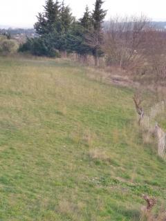 Location jardin potager