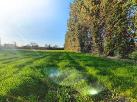 Location jardin potager