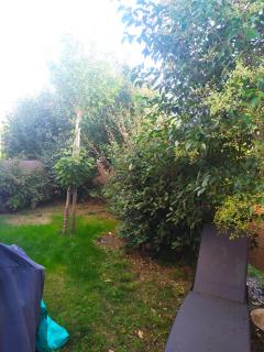 Service entretien jardin