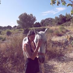 Service garde animaux